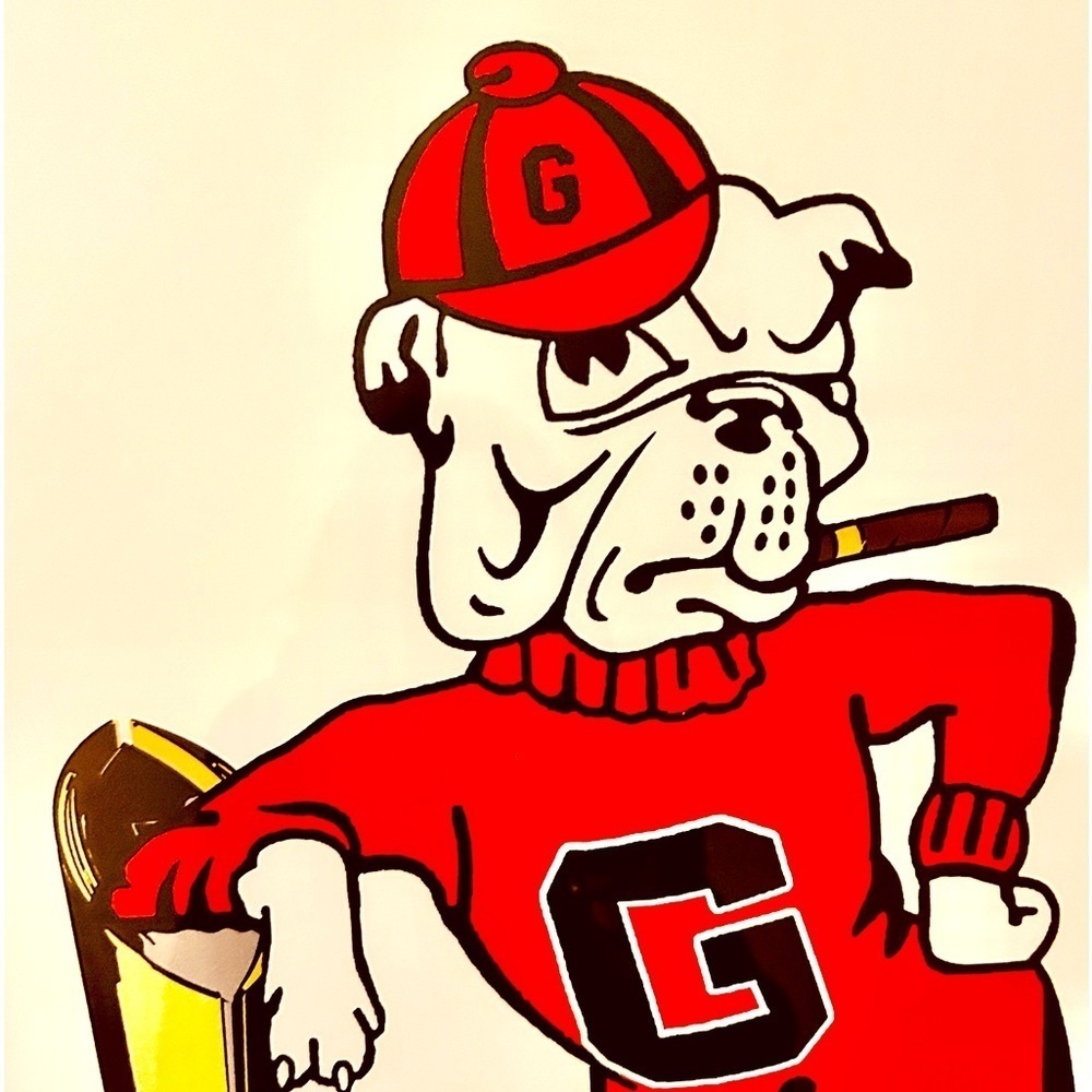 Professional Framed Leaning University of Georgia Bulldog Championship Art RSG - Picture 13 of 13